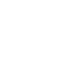 A1 webs logo